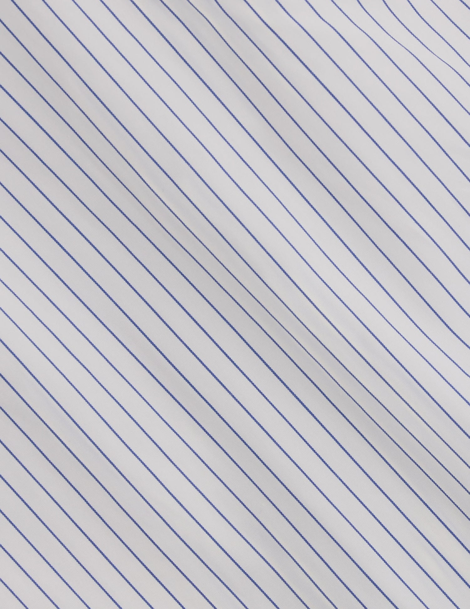 Blue striped fitted shirt - Poplin - Prodigious Collar#2