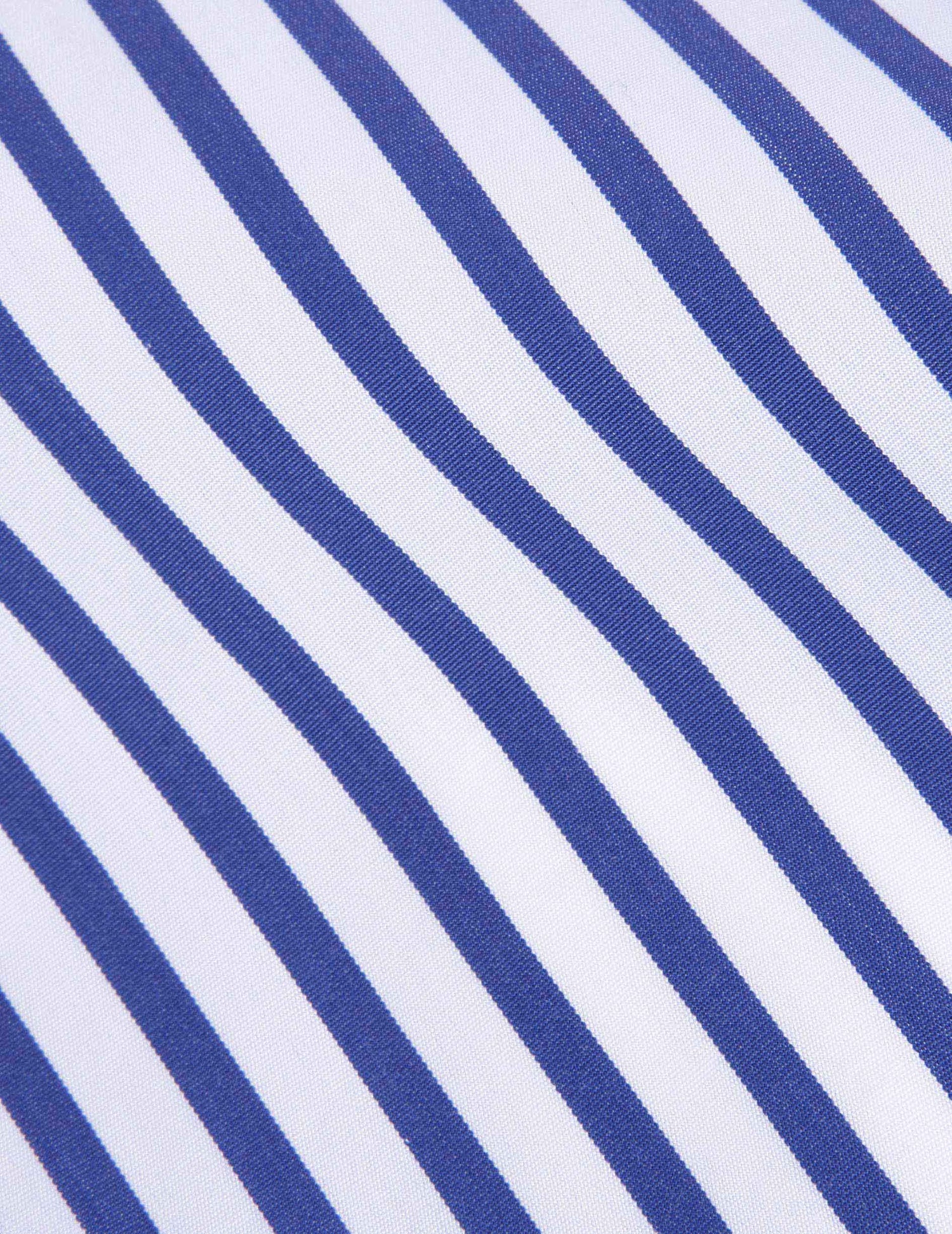 Blue striped semi-fitted shirt - Poplin - English Collar#3